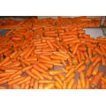 Légumes frais à la carotte à vendre